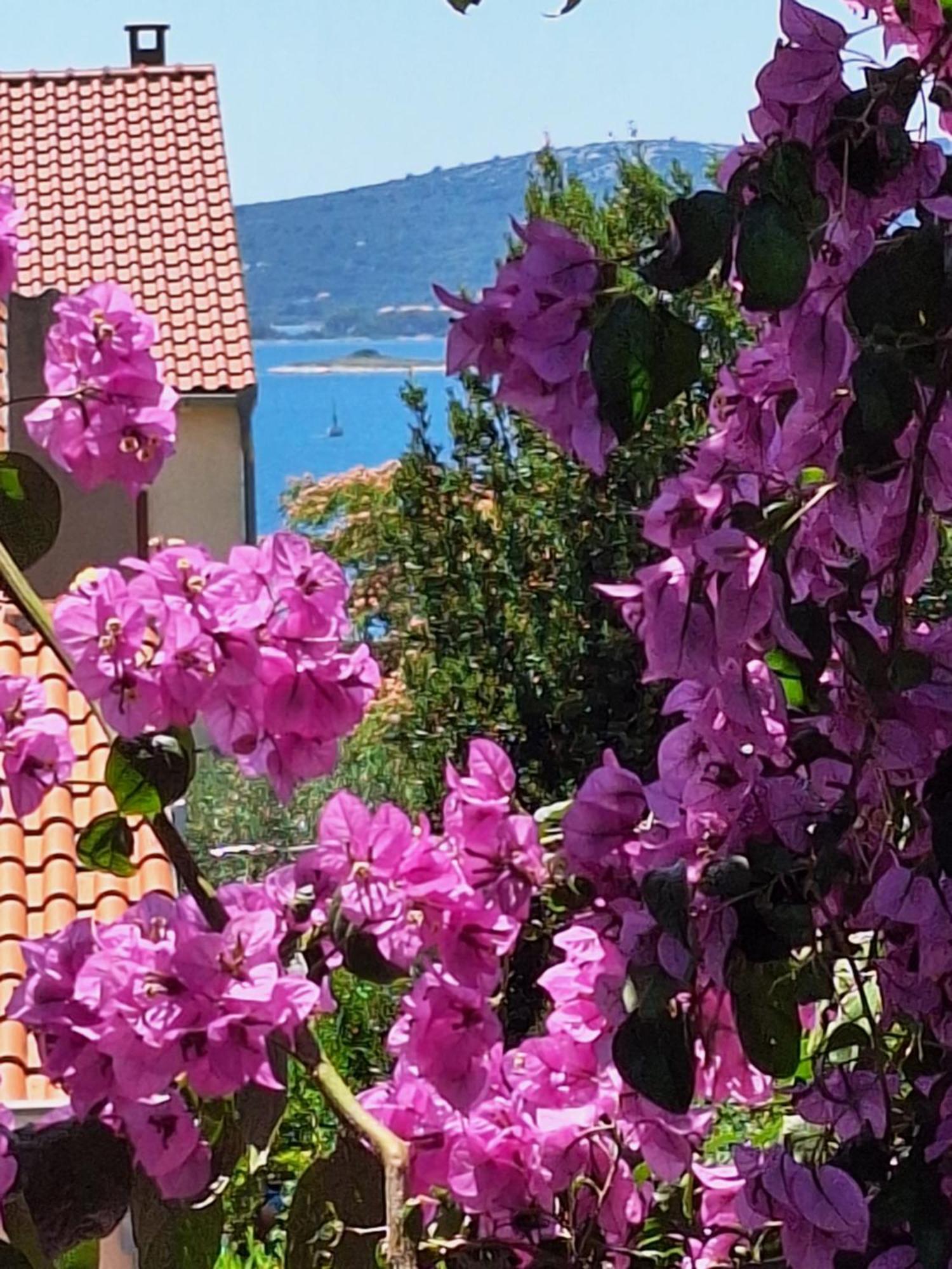 סבטי פיליפ אי ג'קוב Apartments Vodopija 300M To The Beach חדר תמונה